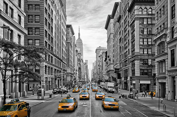 Wall Art - Photograph - 5th Avenue NYC Traffic #3 by Melanie Viola