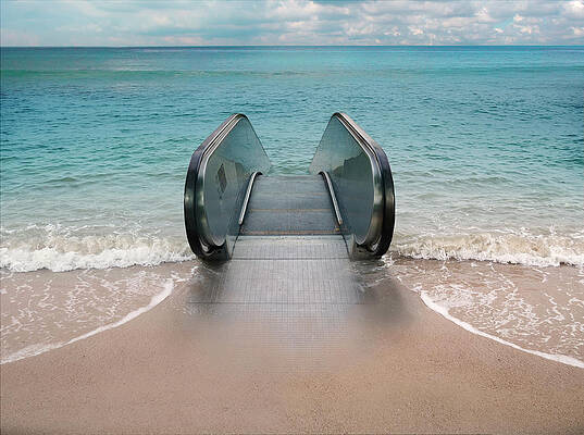 Wall Art - Photograph - Dive #1 by Andrew Kow