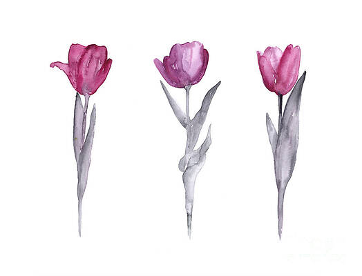Wall Art - Painting - Purple tulips watercolor painting #1 by Joanna Szmerdt
