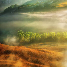 Mist... by Krzysztof Browko