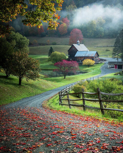 Wall Art - Photograph - Untitled #2 by David H Yang