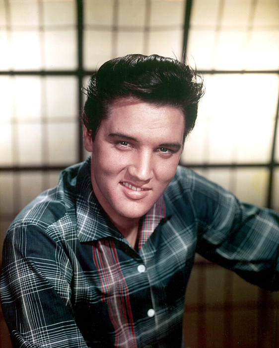 Elvis Presley Art for Sale