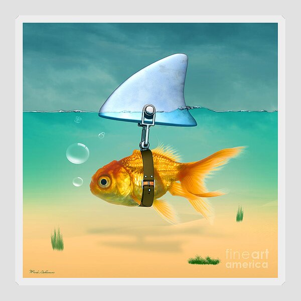 Gold Fish Sticker