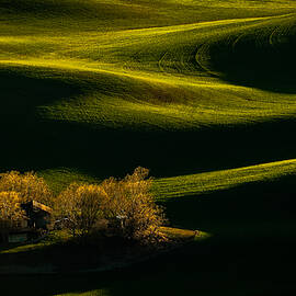  by David H Yang