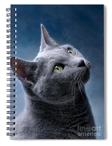 Russian Blue Cat #7 Spiral Notebook