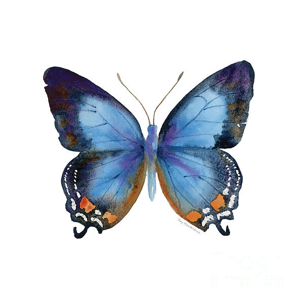 Insects Art for Sale