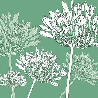 Wall Art - Painting - Agapanthus breeze by Sarah Hough