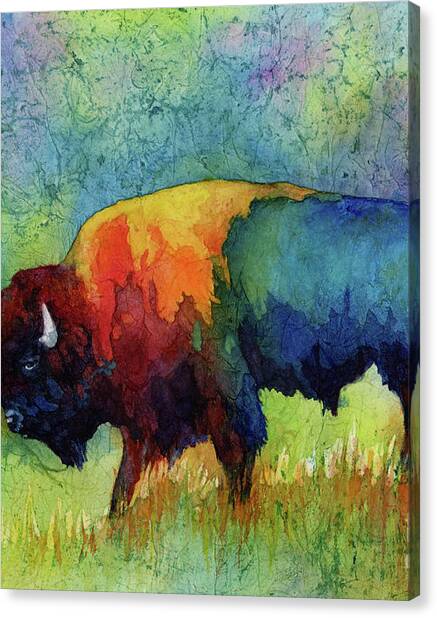 American Buffalo Iii Canvas Print