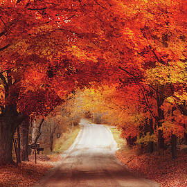 Autumn Road  by Magda Bognar