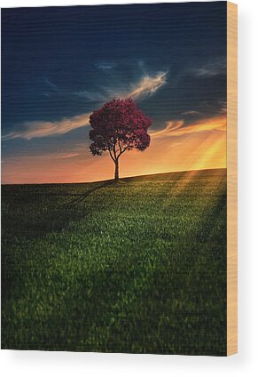 Shop for Wood Prints