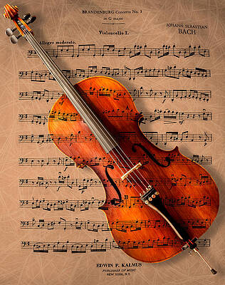 Wall Art - Photograph - Bach on Cello by Sheryl Rae