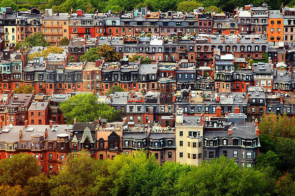 Wall Art - Photograph - Back Bay by Rick Berk
