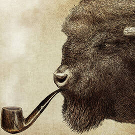 Animal Drawings