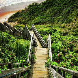 Landscape Photographs