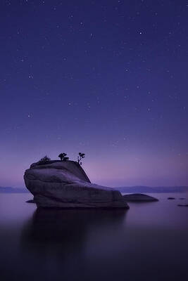 Wall Art - Photograph - Bonsai Island by Sean Foster