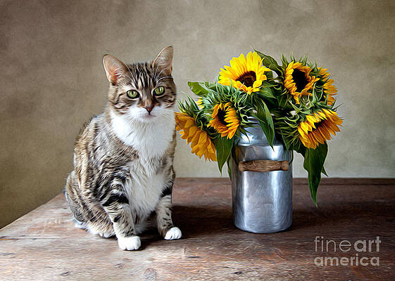 Wall Art - Painting - Cat and Sunflowers by Nailia Schwarz