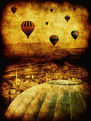 Wall Art - Photograph - Cerebral Hemisphere by Andrew Paranavitana