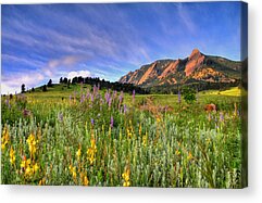 Shop for Landscape Acrylic Prints