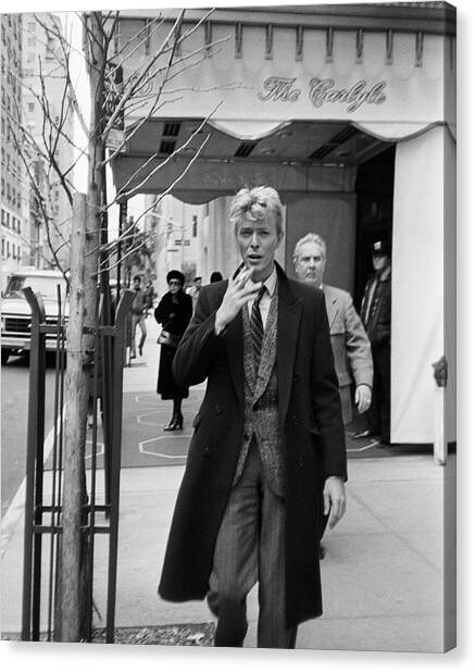 David Bowie Canvas Print