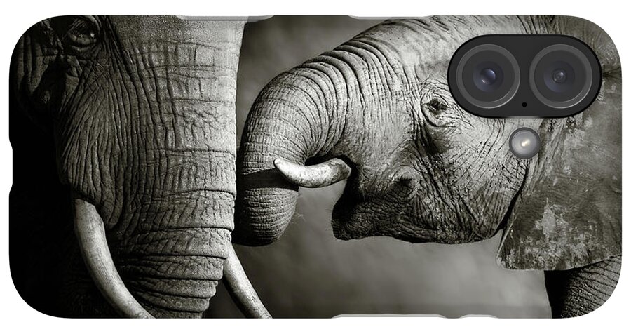 iPhone Case - Elephant affection by Johan Swanepoel