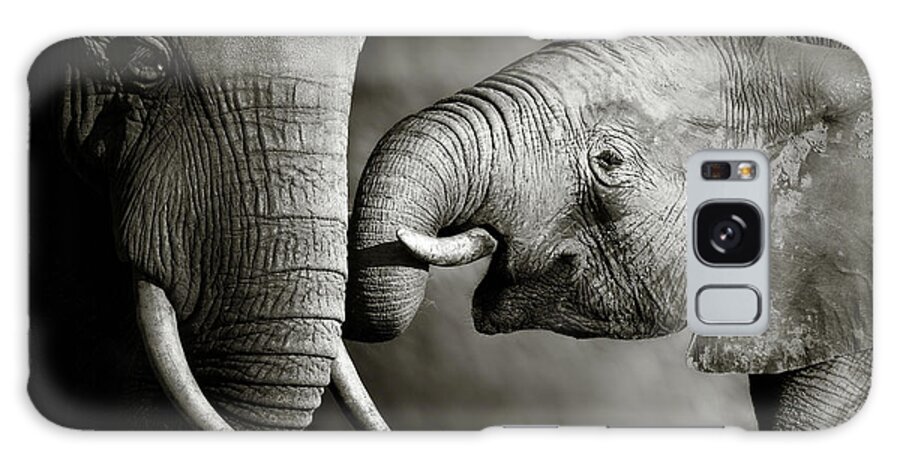 Galaxy Case - Elephant affection by Johan Swanepoel