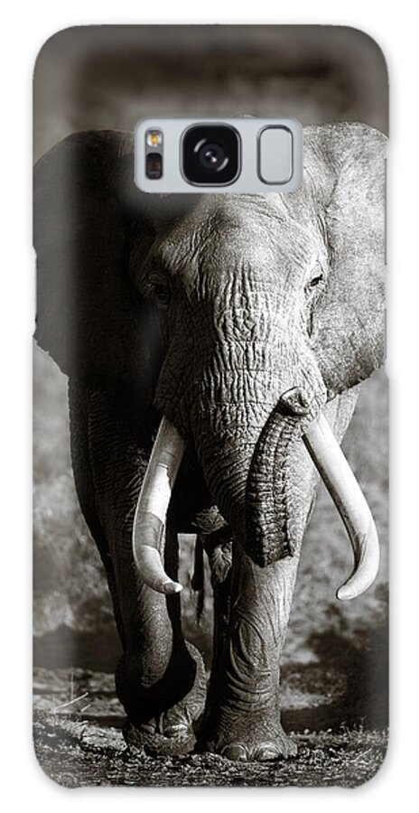 Galaxy Case - Elephant Bull by Johan Swanepoel