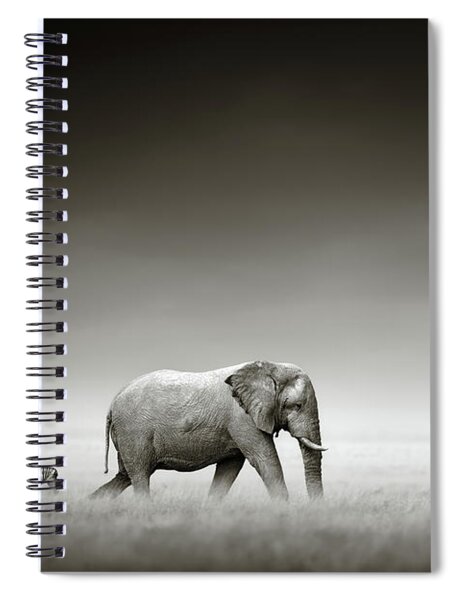 Elephant With Zebra Spiral Notebook