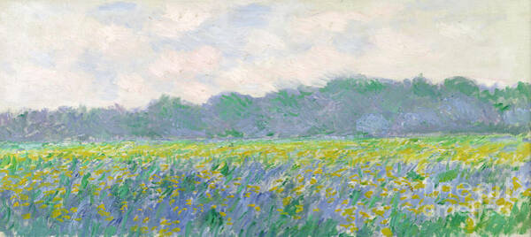 Wall Art - Painting - Field of Yellow Irises at Giverny by Claude Monet