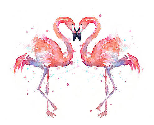 Wall Art - Painting - Flamingo Love Watercolor by Olga Shvartsur