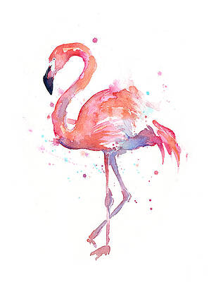 Wall Art - Painting - Flamingo Watercolor by Olga Shvartsur