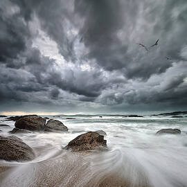 Flight Over Troubled Waters by Santiago Pascual Buye
