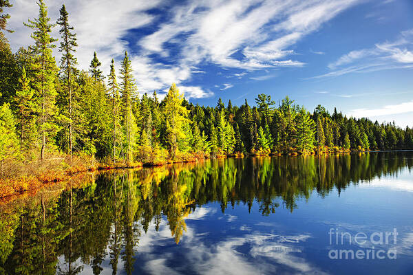 Wall Art - Photograph - Forest reflecting in lake by Elena Elisseeva