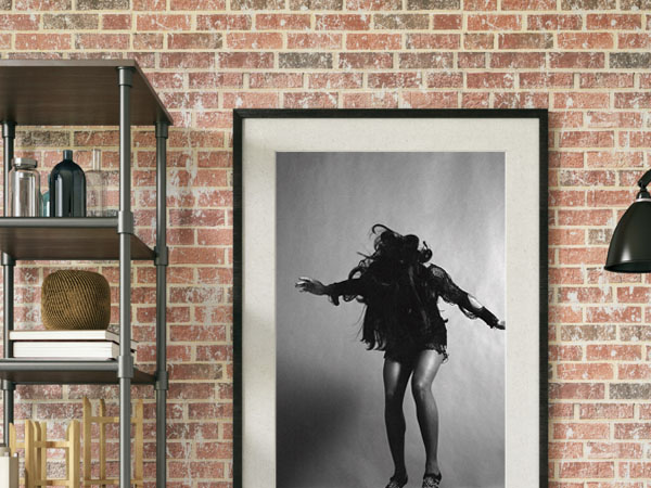 Framed Prints