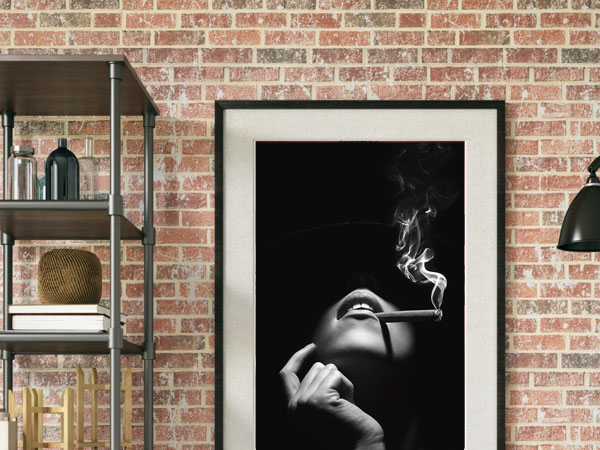 Framed Prints