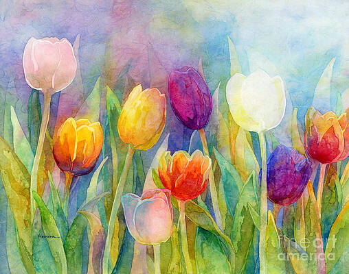 Wall Art - Painting - Fresh Tulips by Hailey E Herrera