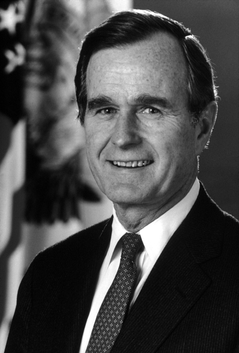 George Bush Art for Sale