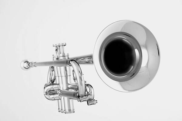 Wall Art - Photograph - Gold Trumpet Isolated On White by M K Miller