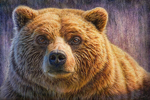 Wall Art - Painting - Grizzly Portrait by Phil Jaeger
