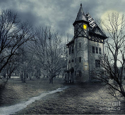 Wall Art - Photograph - Haunted house by Jelena Jovanovic