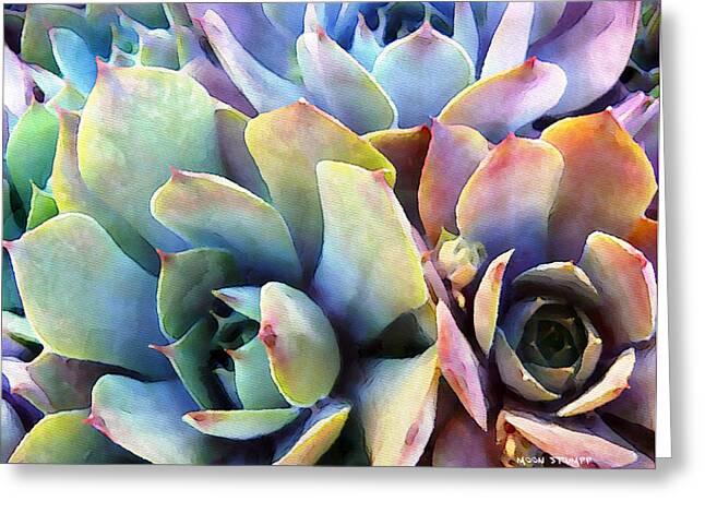 Hens And Chicks Series - Soft Tints Greeting Card