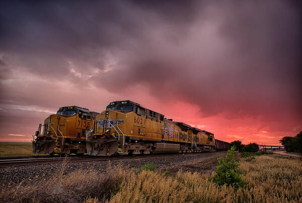 Wall Art - Photograph - In Waiting by Thomas Zimmerman