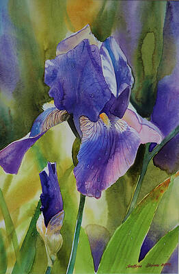 Wall Art - Painting - Iris I by Svetlana Orinko