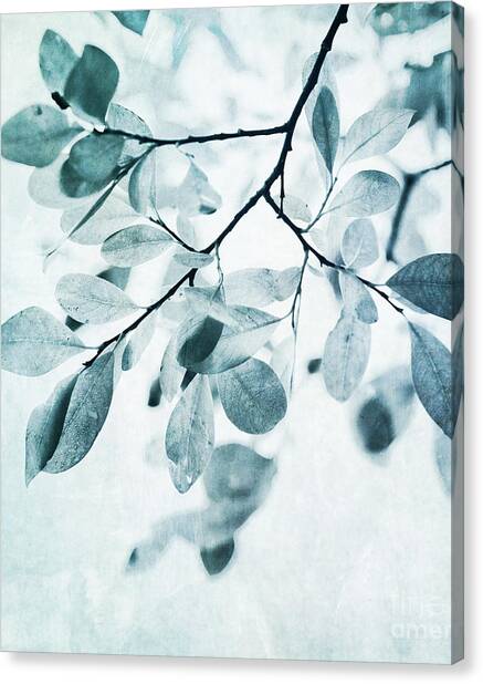 Leaves In Dusty Blue Canvas Print