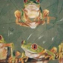 Amphibians