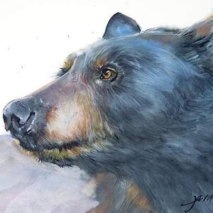 Bears Art Competition