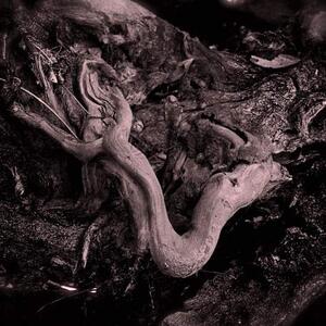 Are you a Pareidoliac  Art Competition