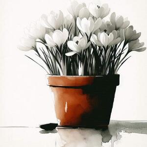 Crocus  Art Competition
