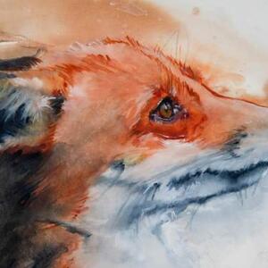 Fox Art Art Competition