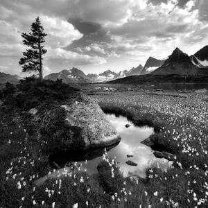 LANDSCAPES - Black and White - Photography ONLY Art Competition