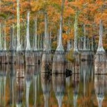 The Outdoor Photographer